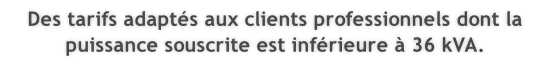 Des tarifs adaptés aux clients professionnels dont la puissance souscrite est inférieure à 36 kVA.